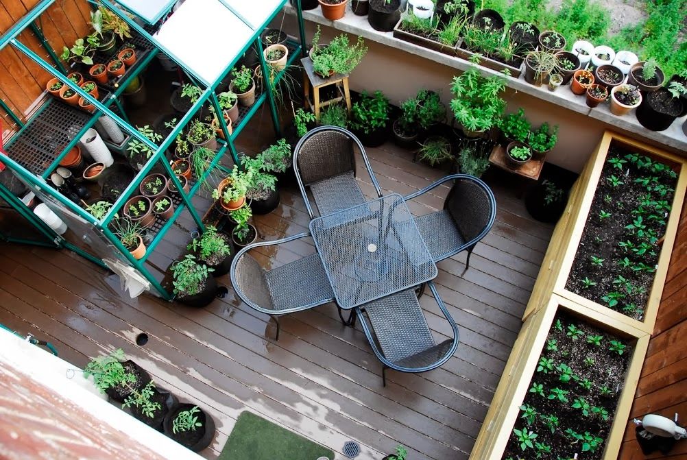 Огород на балконе: что можно выращивать в городских условиях?